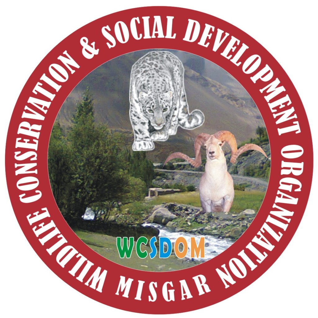 WCSDOM Logo 